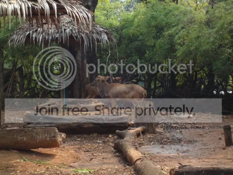 曼谷亲子游好去处